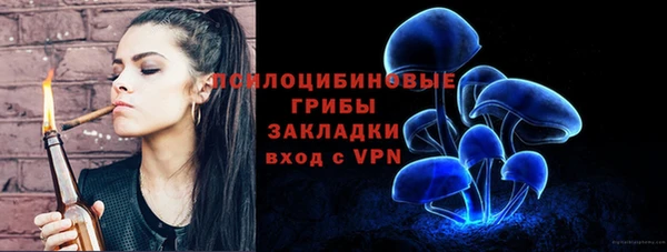 ALPHA PVP Осинники