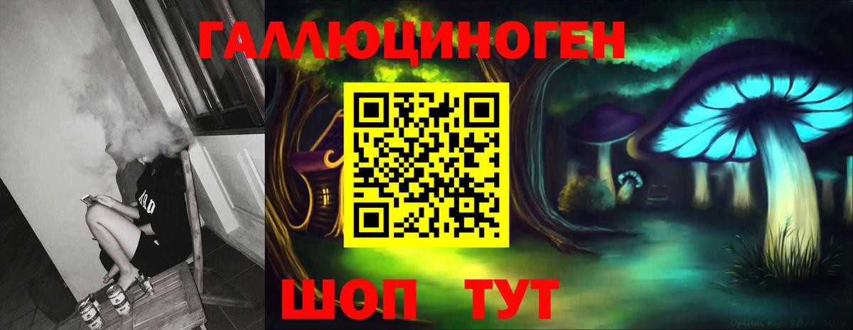 Галлюциногенные грибы Psilocybine cubensis Алушта