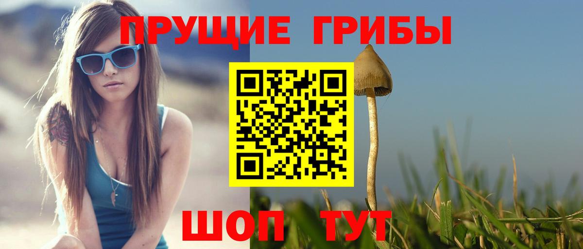 Псилоцибиновые грибы ЛСД Алушта