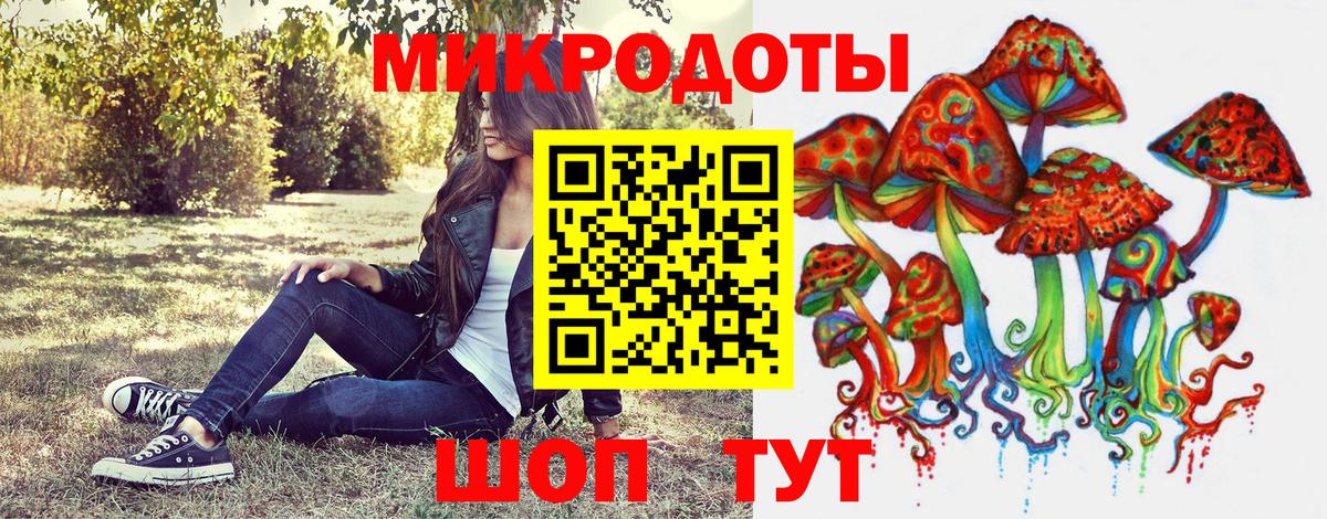 Псилоцибиновые грибы Psilocybine cubensis Алушта